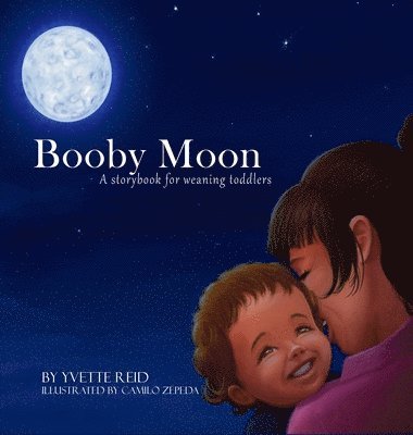 bokomslag Booby Moon