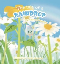 bokomslag tale of a raindrop