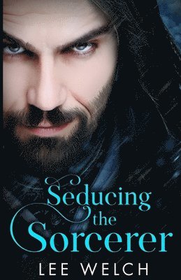Lee Welch - Seducing the Sorcerer, Häftad