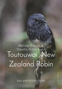 bokomslag Toutouwai New Zealand Robin