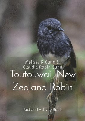 bokomslag Toutouwai New Zealand Robin: Fact and Activity Book