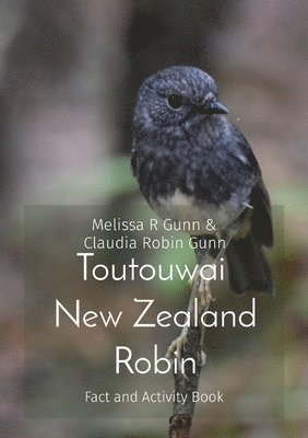 Toutouwai New Zealand Robin 1