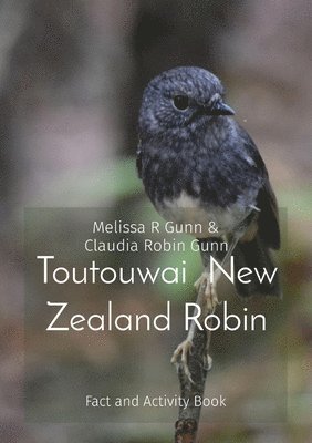 Toutouwai New Zealand Robin 1