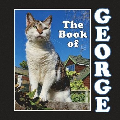 bokomslag Book of George
