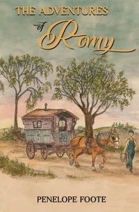 bokomslag Adventures of Romy