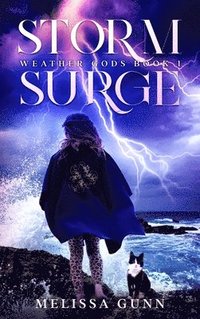 bokomslag Storm Surge