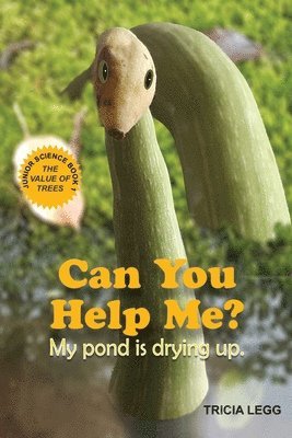 Can You Help Me? My pond is drying up. 1