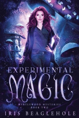 bokomslag Experimental Magic