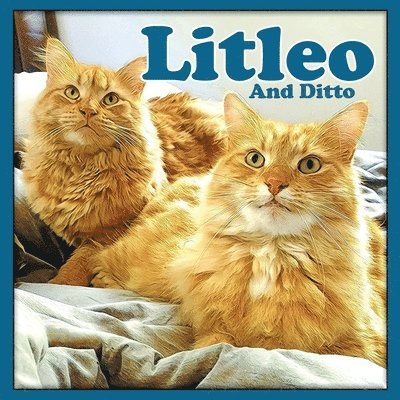Litleo And Ditto 1