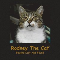 bokomslag Rodney The Cat, Beyond Lost And Found