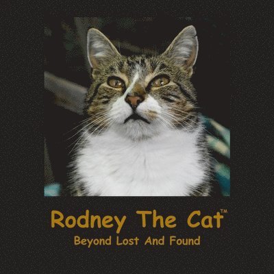 Rodney The Cat, Beyond Lost And Found 1