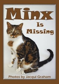 bokomslag Minx is Missing