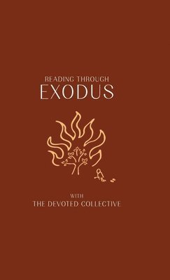 bokomslag Reading Through Exodus