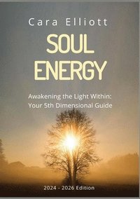 bokomslag Soul Energy Awakening the Light Within You