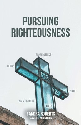 bokomslag Pursuing Righteousness