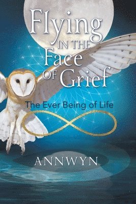 bokomslag Flying in the Face of Grief