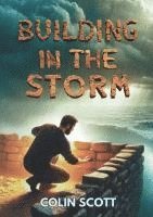 bokomslag Building in the Storm