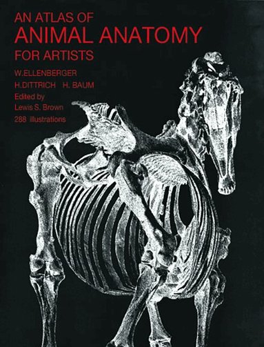 W. Ellenberger - Atlas of Animal Anatomy for Artists, Häftad
