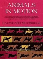 Muybridge, E: Animals in Motion