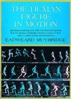 The Human Figure in Motion 1
