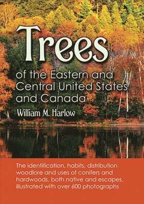 bokomslag Trees of the Eastern and Central United States and Canada