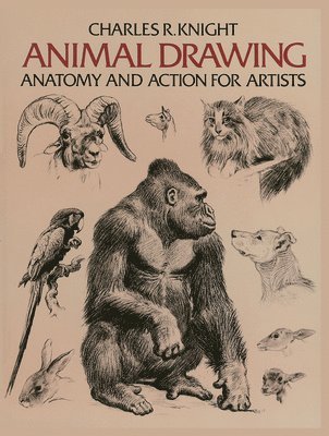 bokomslag Animal Drawing: Anatomy and Action for Artists