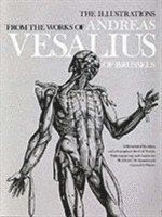 bokomslag The Illustrations from the Works of Andreas Vesalius of Brussels