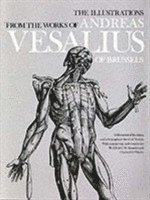 Andreas Vesalius, J.B. Saunders, C.D. O'Malley, C. D. O'Malley, J. B. Saunders, Charles O'Malley - The Illustrations from the Works of Andreas Vesalius of Brussels, Häftad