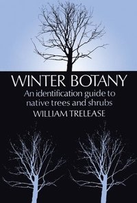 bokomslag Winter Botany