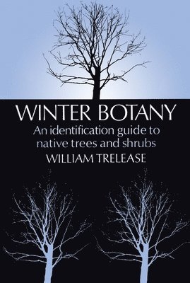 Winter Botany 1