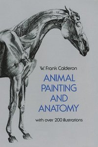 bokomslag Animal Painting and Anatomy