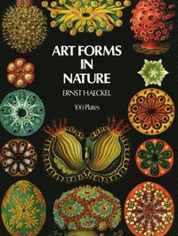 bokomslag Art Forms in Nature