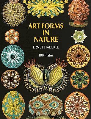 Ernst Haeckel - Art Forms in Nature, Häftad