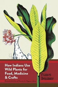 bokomslag How Indians Use Wild Plants for Food, Medicine and Crafts