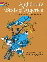 bokomslag Audubon's Birds of America Coloring Book