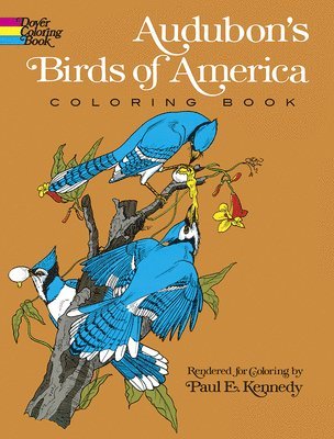 bokomslag Audubon's Birds of America Coloring Book