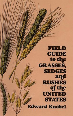 bokomslag Field Guide to the Grasses, Sedges, and Rushes of the Northern United States