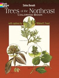 bokomslag Trees of the Northeast Coloring Book