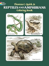bokomslag Quirk, T: Reptiles and Amphibians Coloring Book