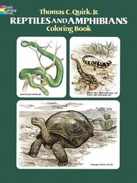 bokomslag Reptiles and Amphibians Coloring Book