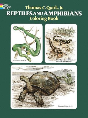 bokomslag Quirk, T: Reptiles and Amphibians Coloring Book