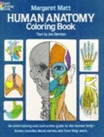 Human Anatomy 1