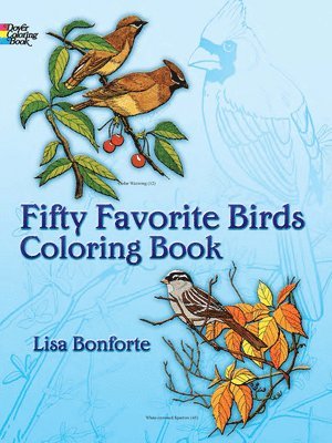 bokomslag Fifty Favourite Birds Colouring Book