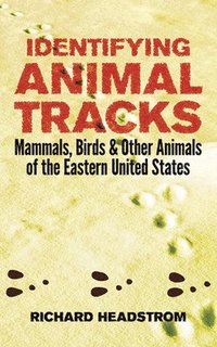 bokomslag Identifying Animal Tracks: Mammals, Birds, and Other Animals of the Eastern United States