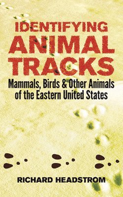 bokomslag Identifying Animal Tracks: Mammals, Birds, and Other Animals of the Eastern United States