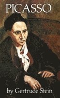 bokomslag Stein, G: Picasso