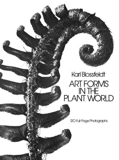 Karl Blossfeldt - Art Forms in the Plant World, Häftad