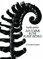 Art Forms in the Plant World 1