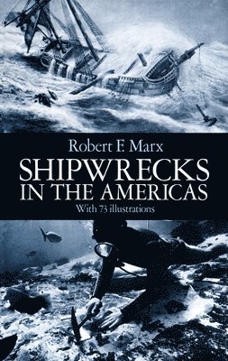 bokomslag Shipwrecks in the Americas