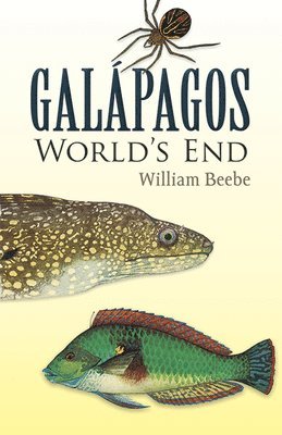 bokomslag Galapagos